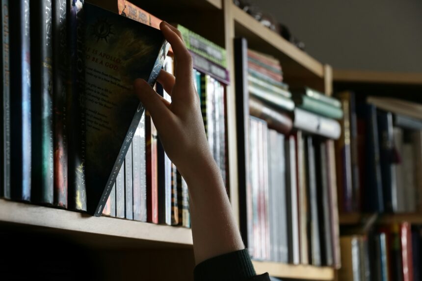 pierre-bamin-lM4_Nmcj4Xk-unsplash Quiet Desks, Loud Harassment: How Men Sexualize Librarians and Library Staff